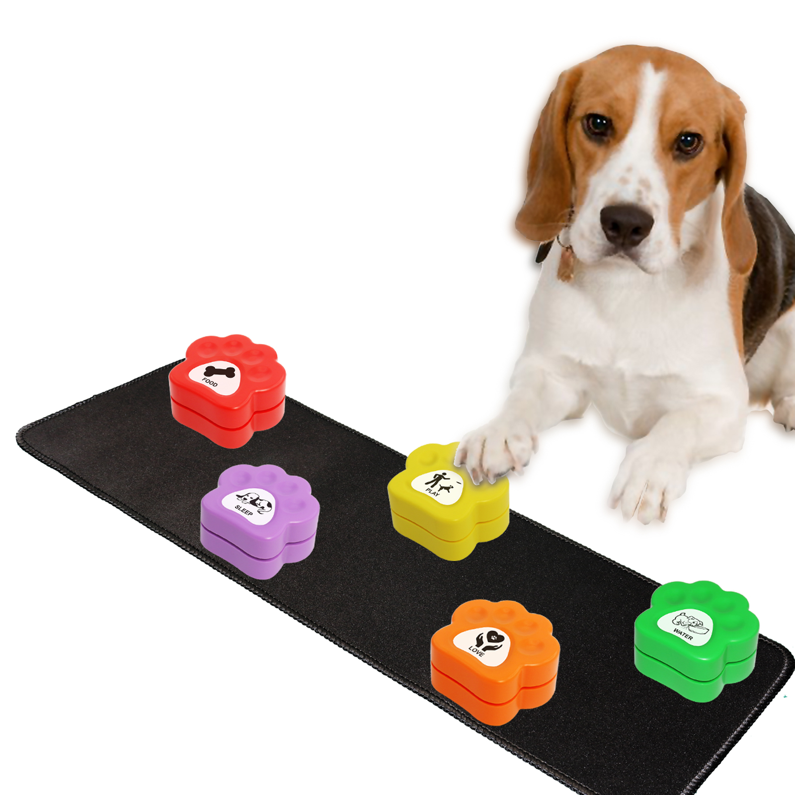 Pet Training Communication Button