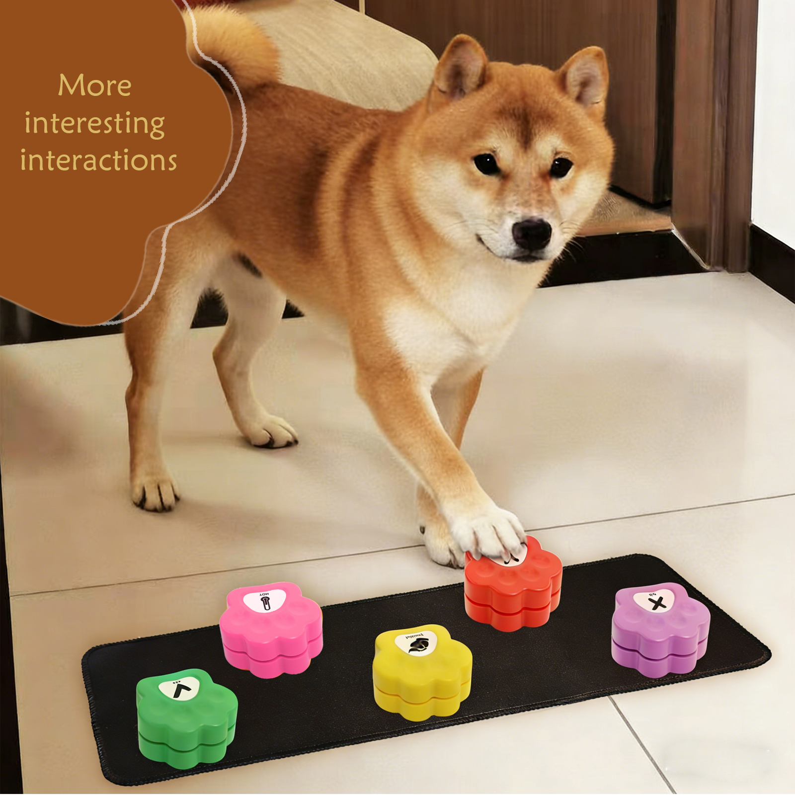 dog clicker buttons for communications 